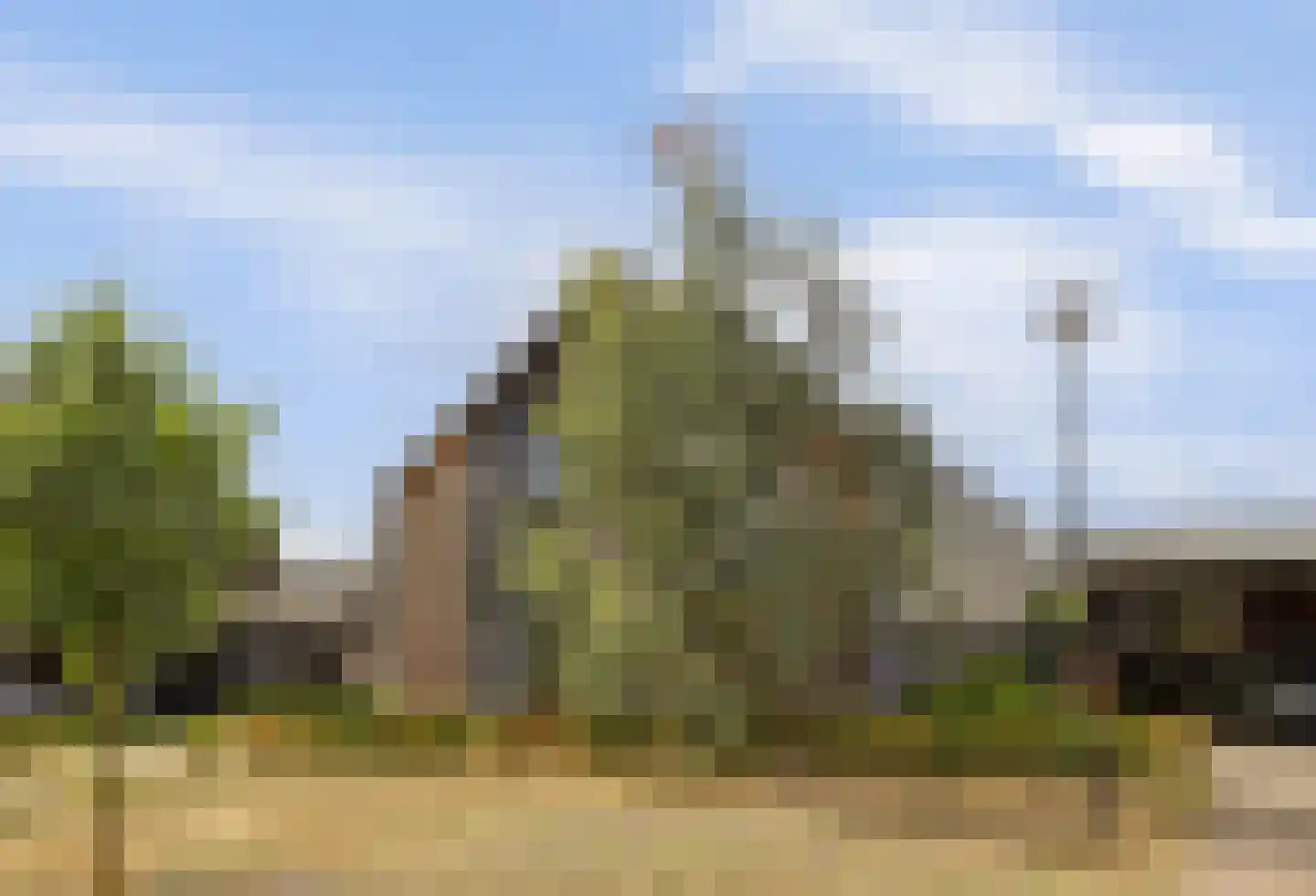 Langveld 34 Meijel thumbnail 70