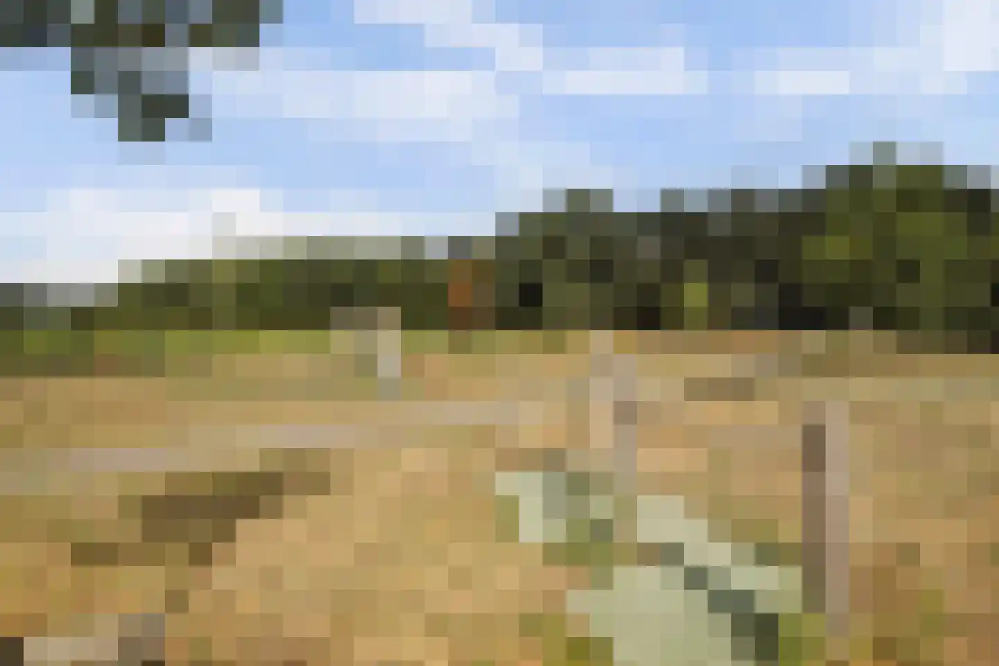 Langveld 34 Meijel thumbnail 73