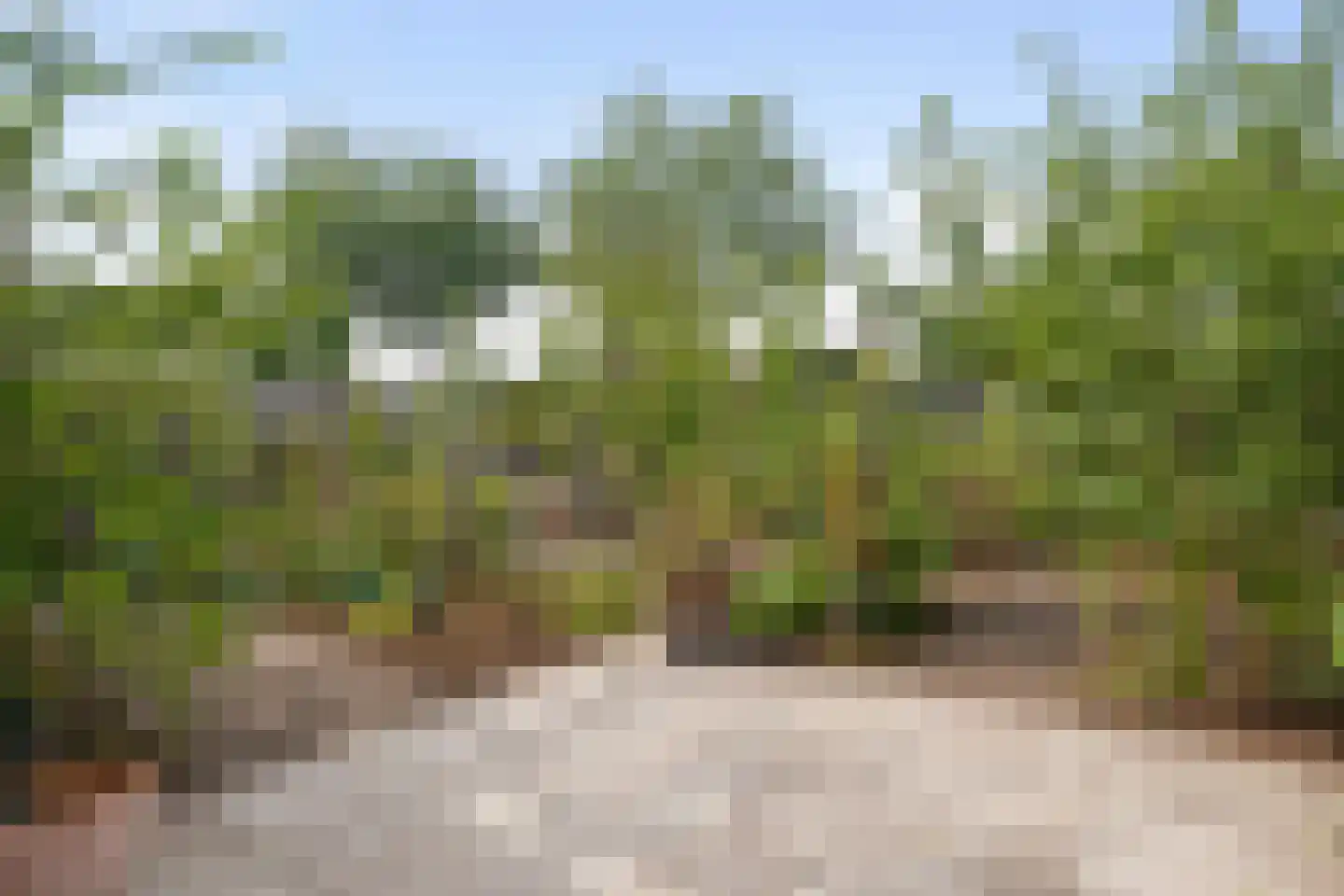 Langveld 35 Meijel thumbnail 33