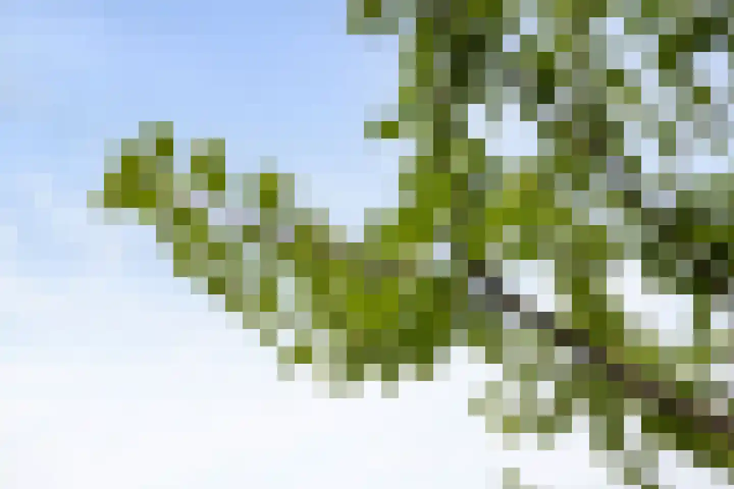 Langveld 35 Meijel thumbnail 35