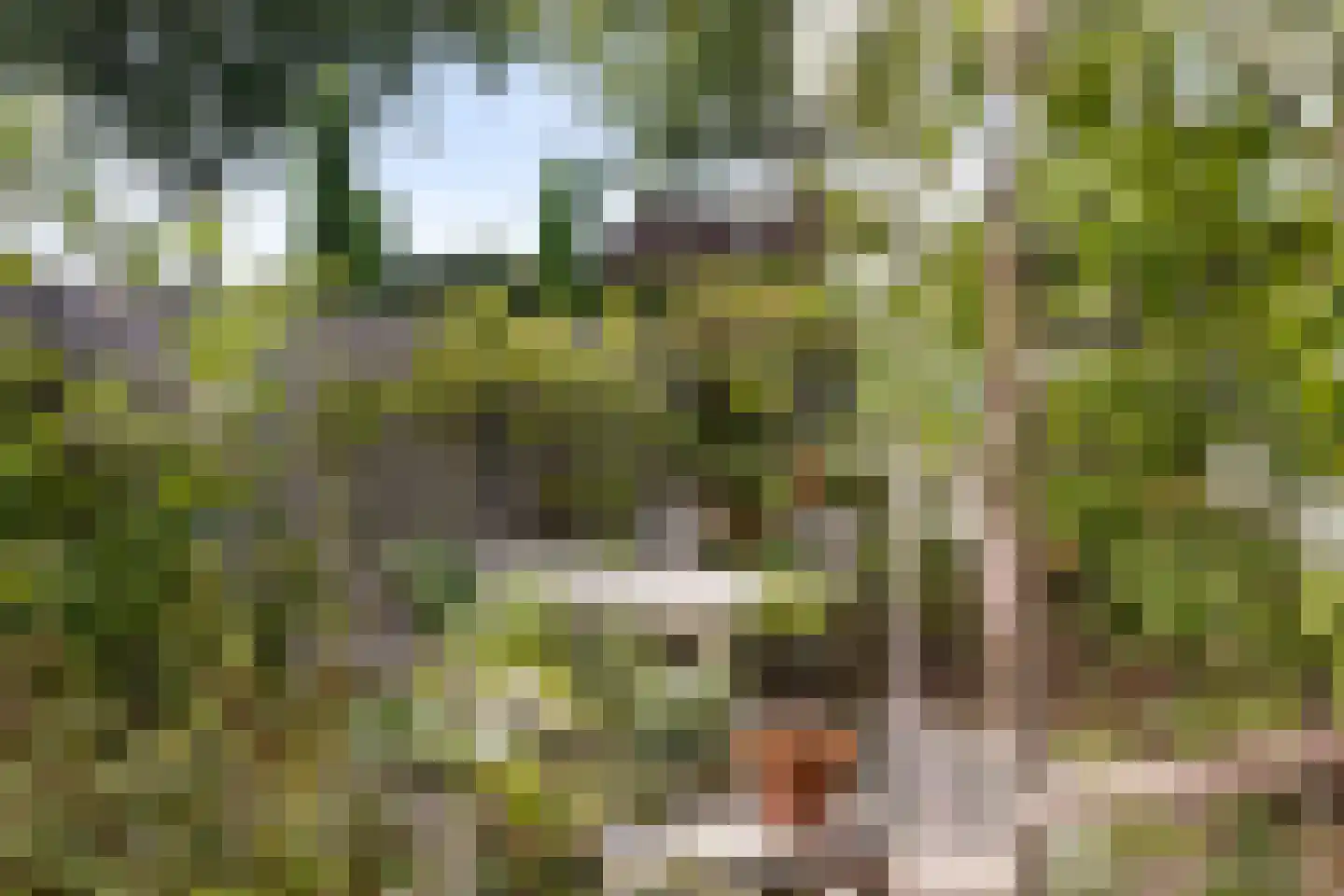 Langveld 35 Meijel thumbnail 4
