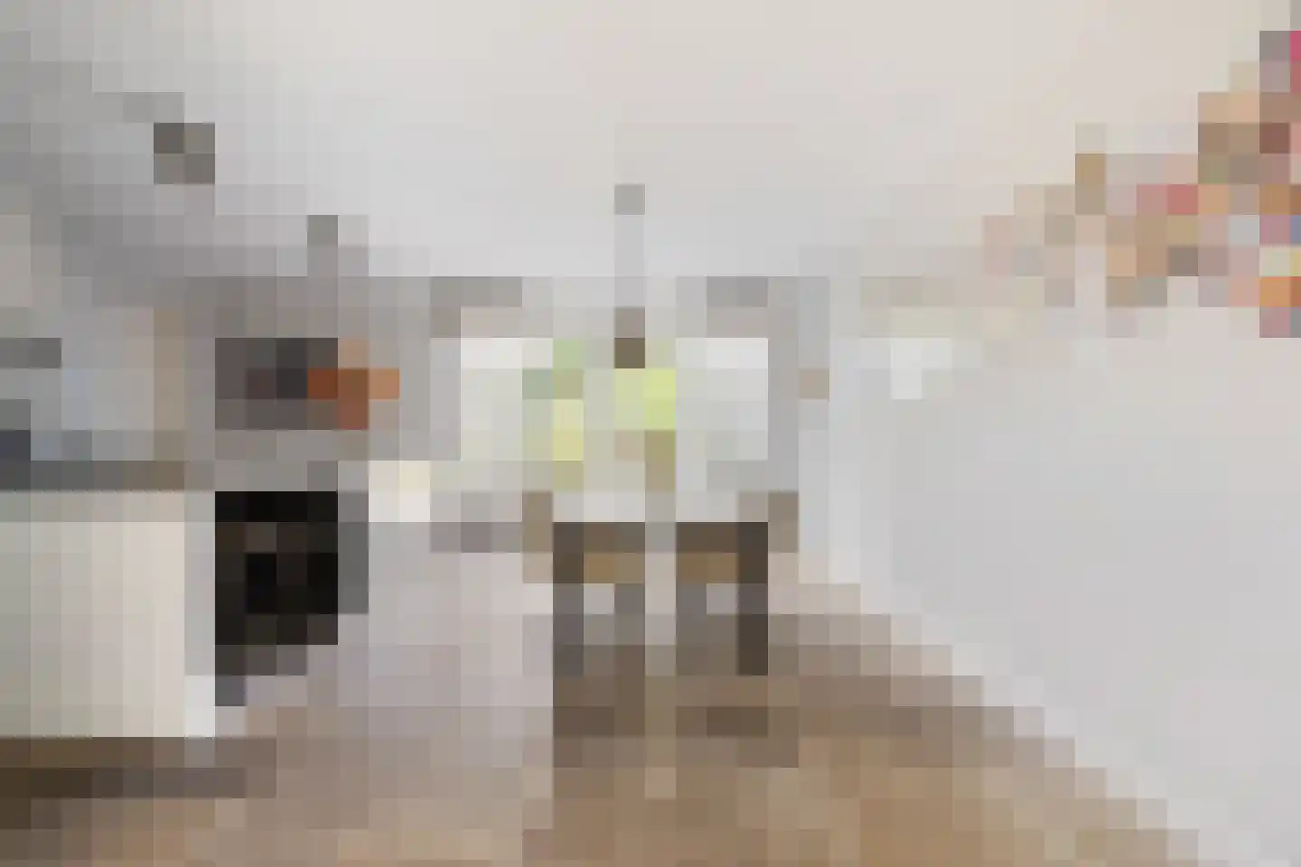 Langveld 35 Meijel thumbnail 8