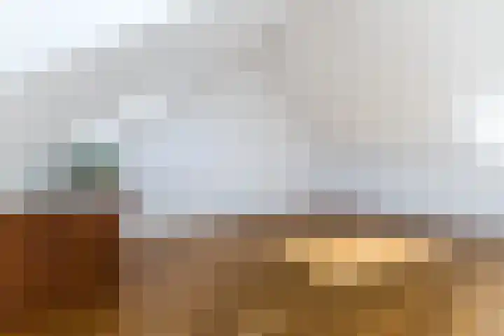Langveld 8 Bergeijk thumbnail 22