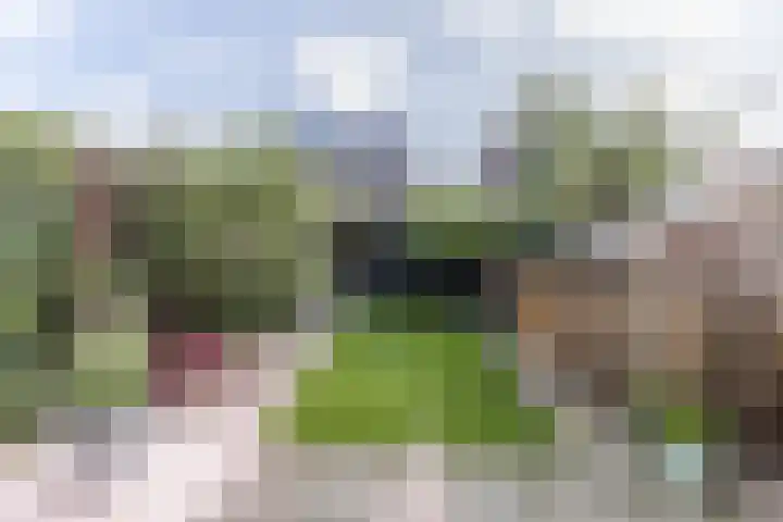 Langveld 8 Bergeijk thumbnail 25