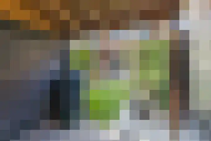 Langveld 8 Bergeijk thumbnail 27