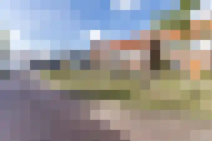 Langveld 8 Bergeijk thumbnail 29