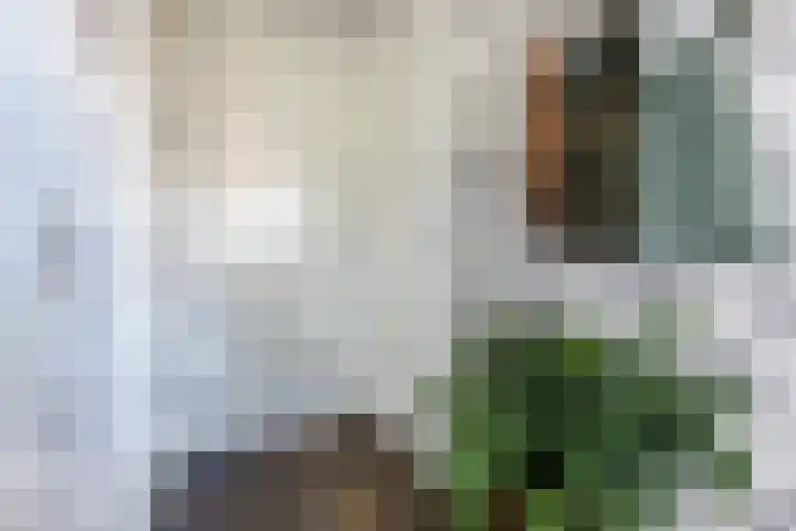 Langveld 8 Bergeijk thumbnail 5