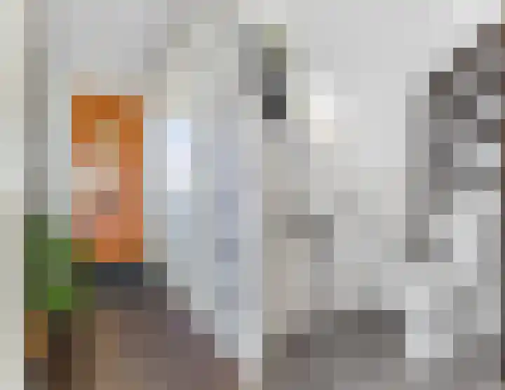 Langveld 8 Bergeijk thumbnail 6