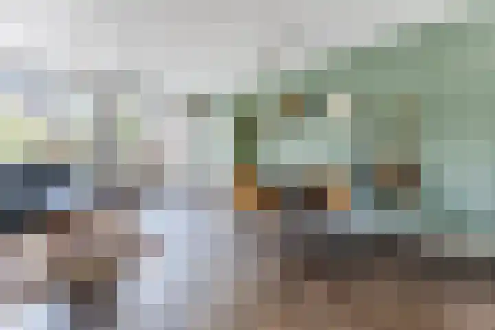 Langveld 8 Bergeijk thumbnail 9