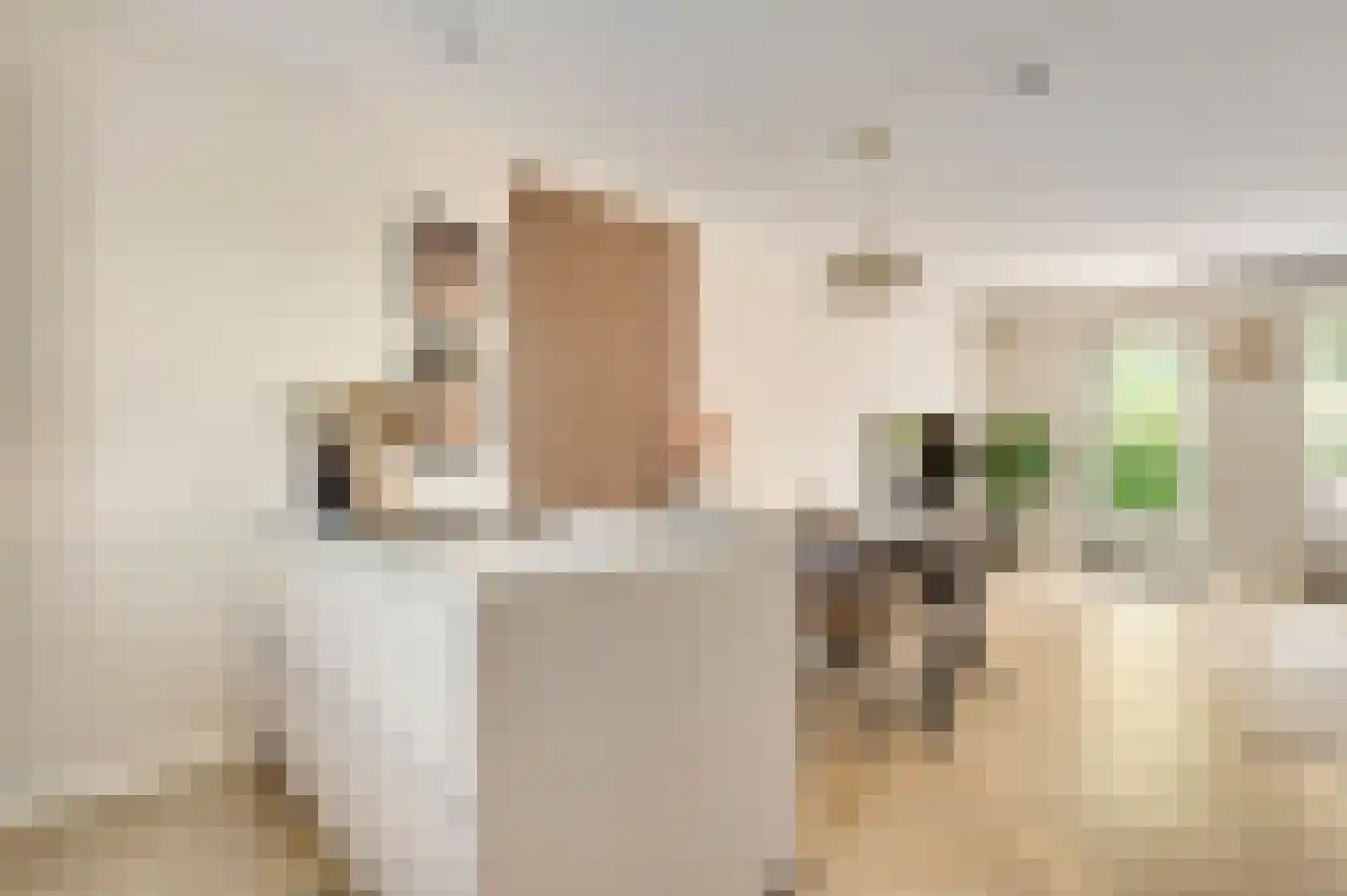Langven 7 Beegden thumbnail 10