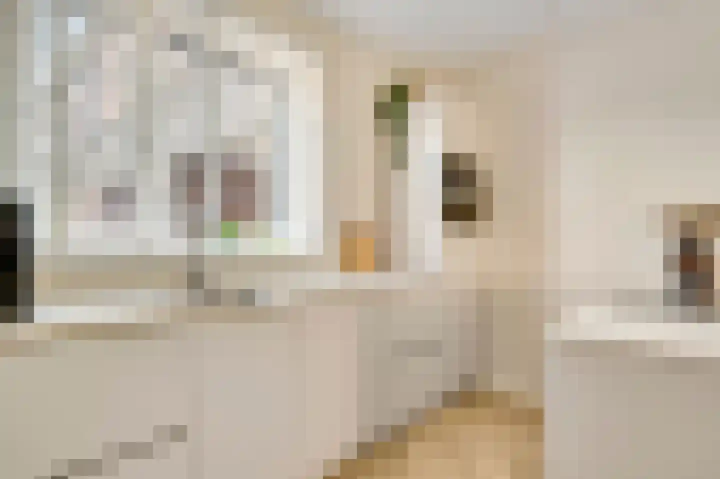 Langven 7 Beegden thumbnail 12