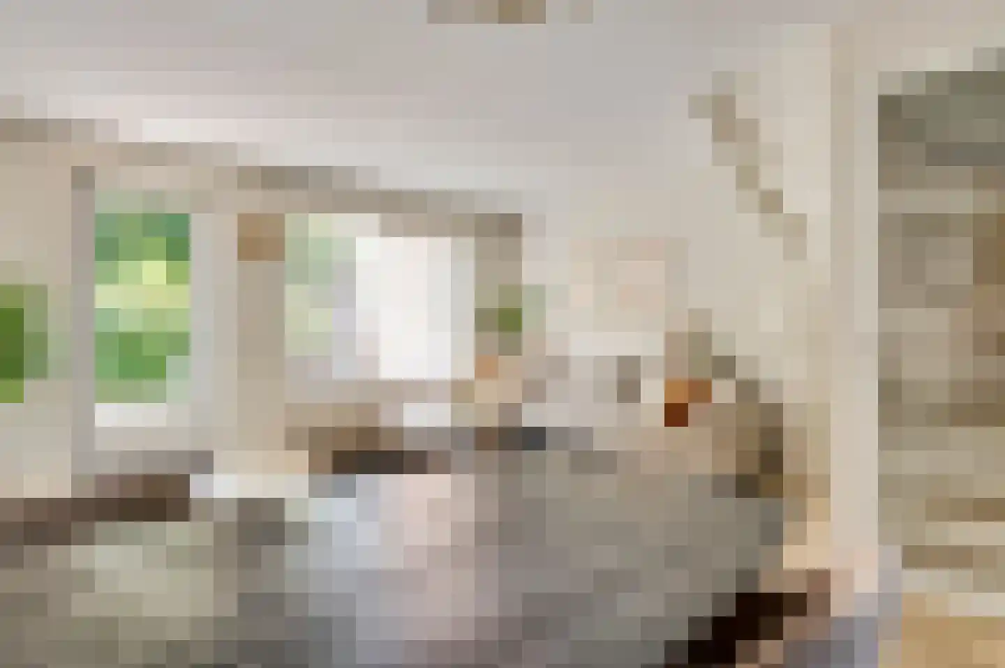 Langven 7 Beegden thumbnail 14