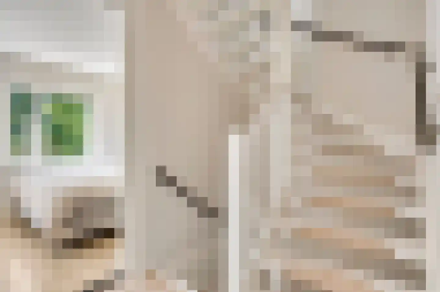 Langven 7 Beegden thumbnail 19