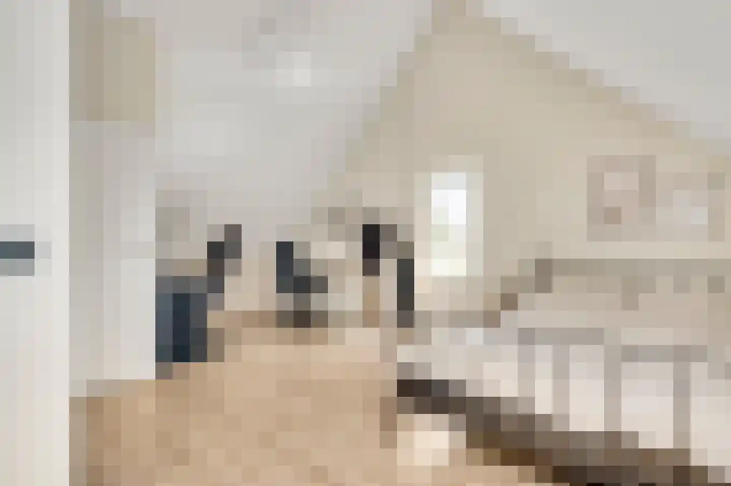 Langven 7 Beegden thumbnail 35