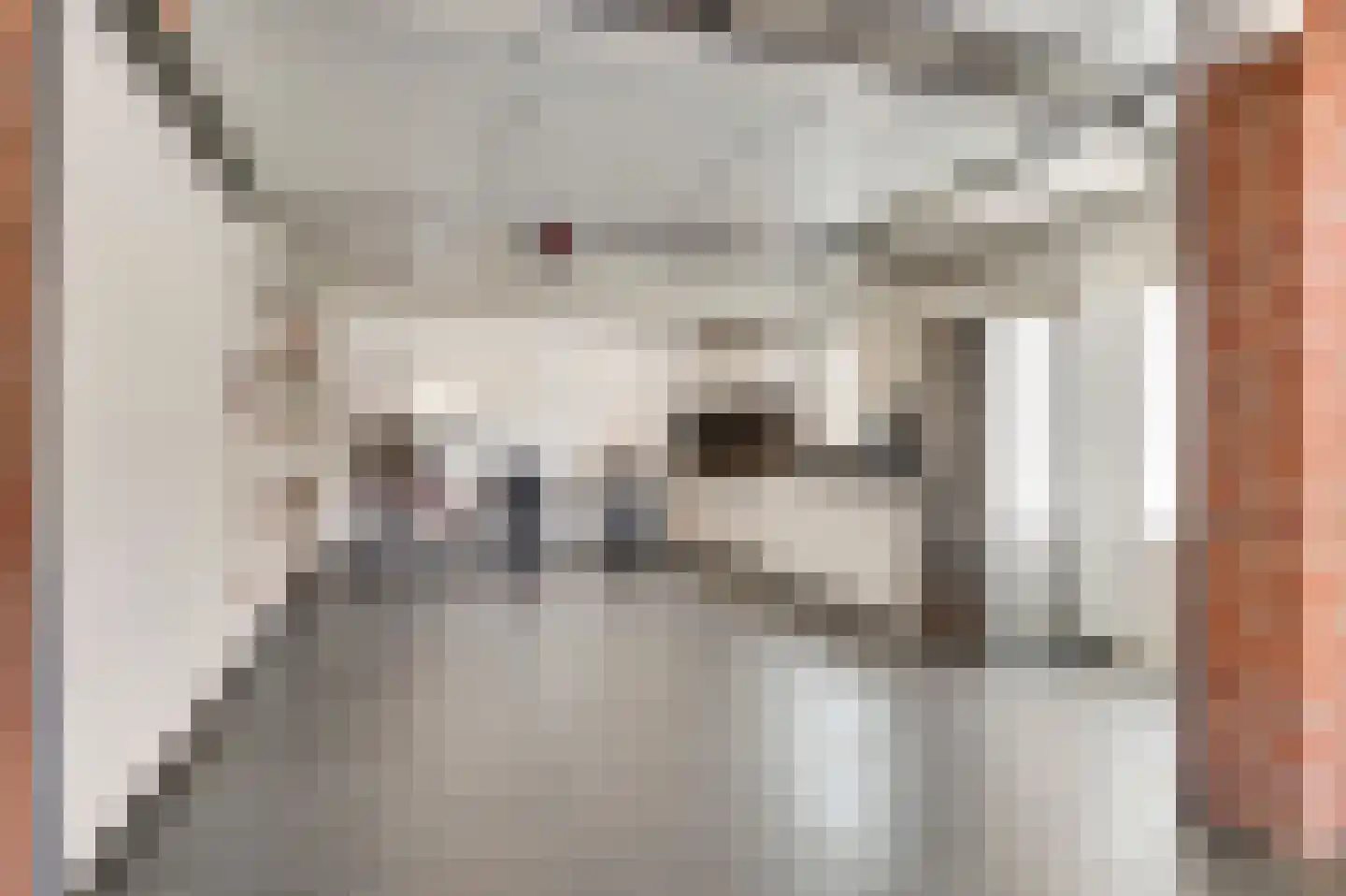 Langven 7 Beegden thumbnail 36