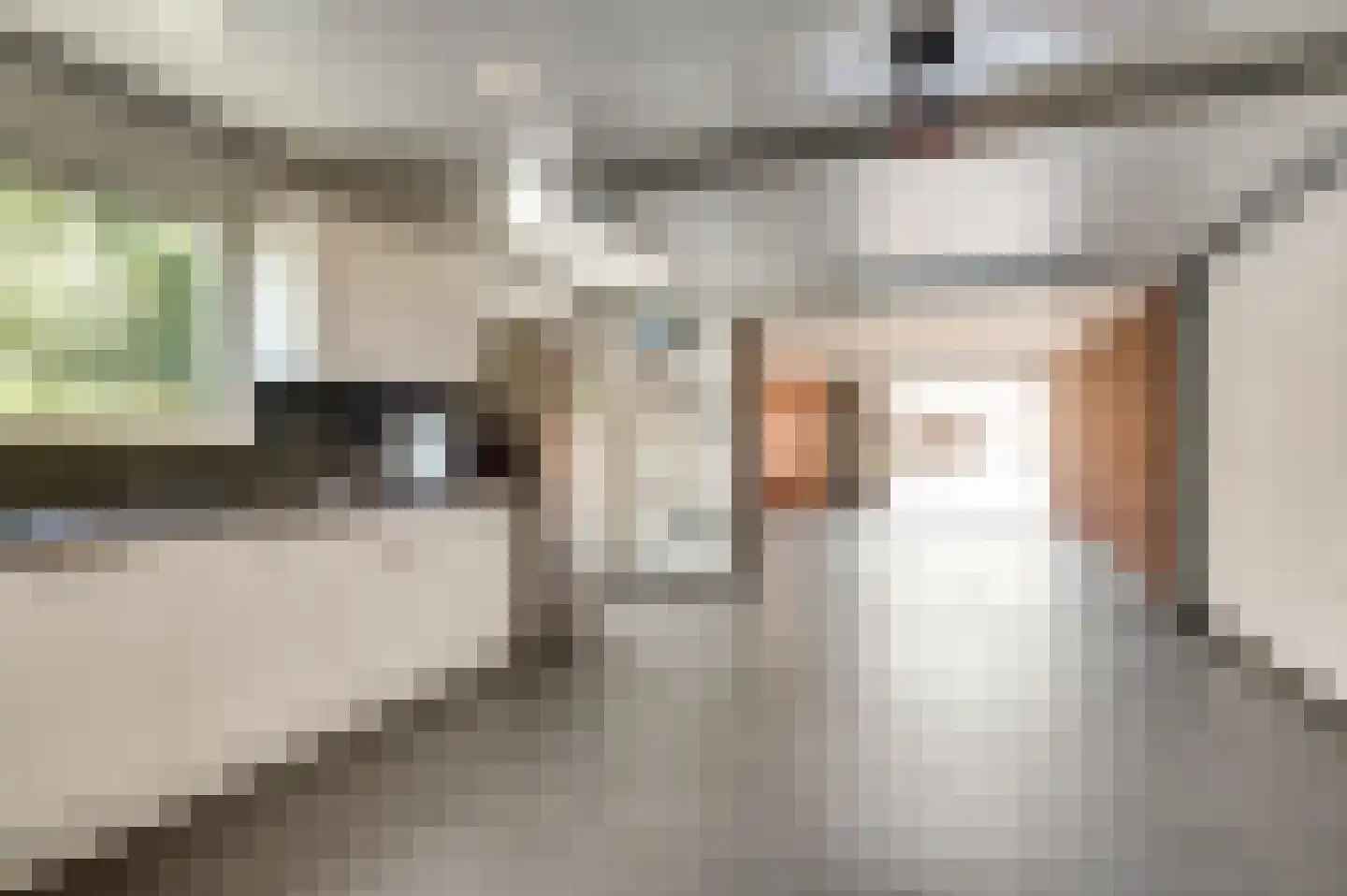 Langven 7 Beegden thumbnail 37