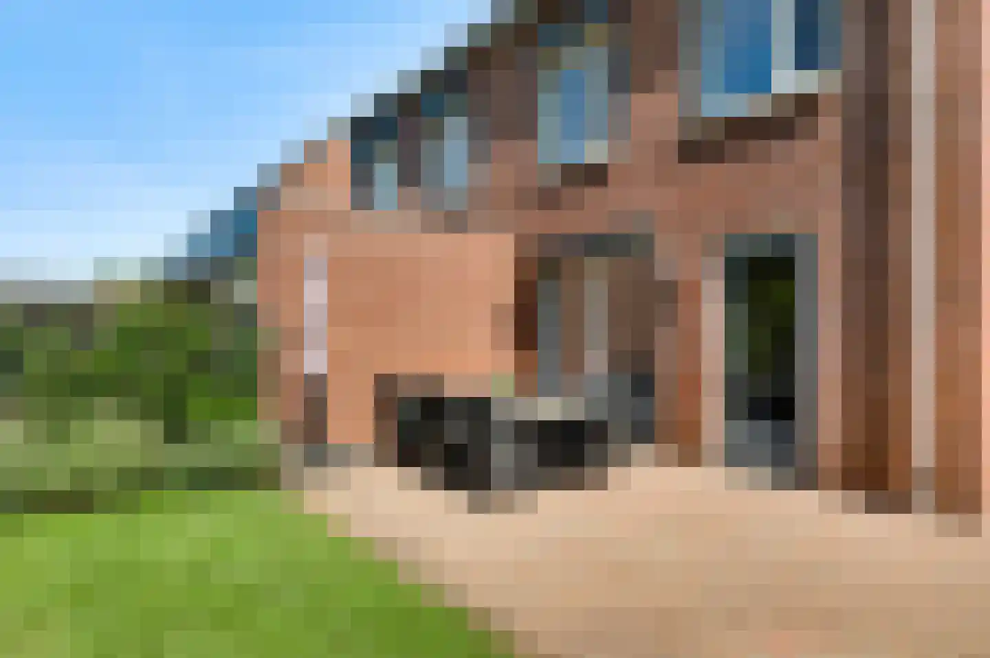 Langven 7 Beegden thumbnail 41
