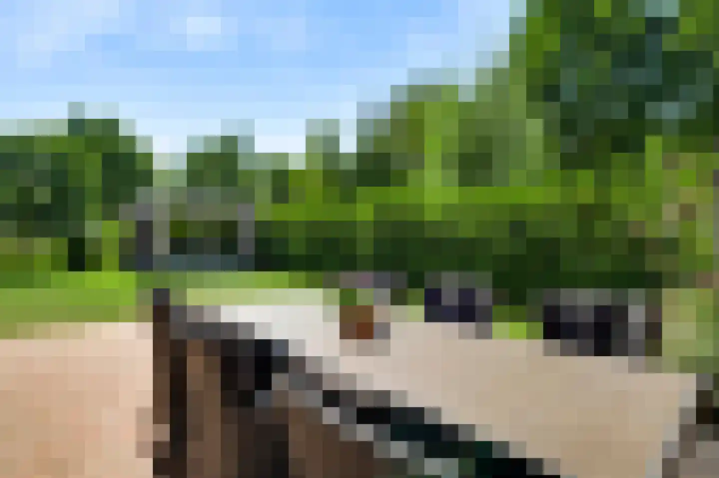 Langven 7 Beegden thumbnail 42