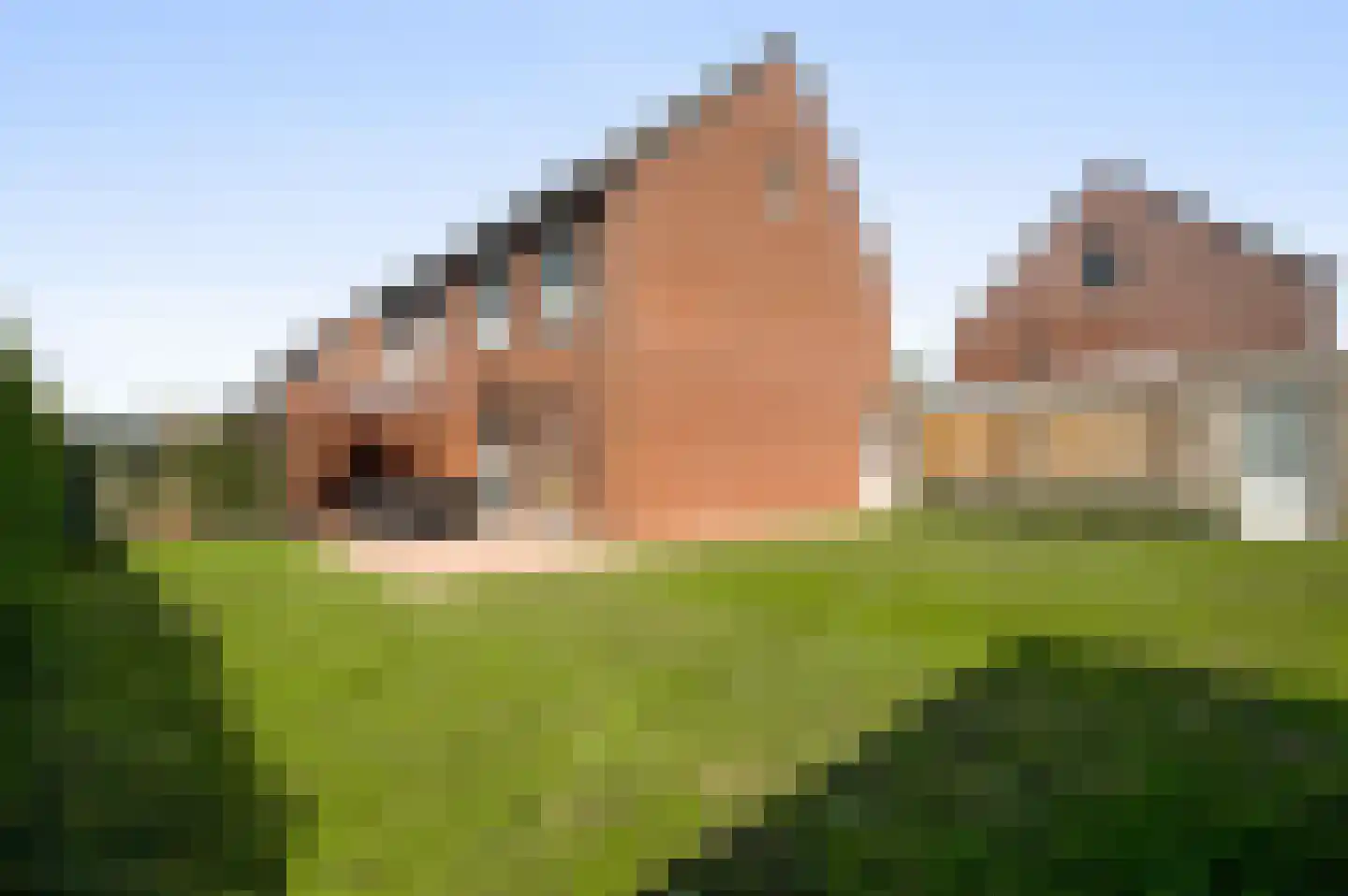 Langven 7 Beegden thumbnail 44
