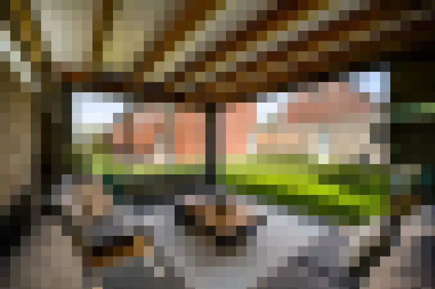 Langven 7 Beegden thumbnail 50