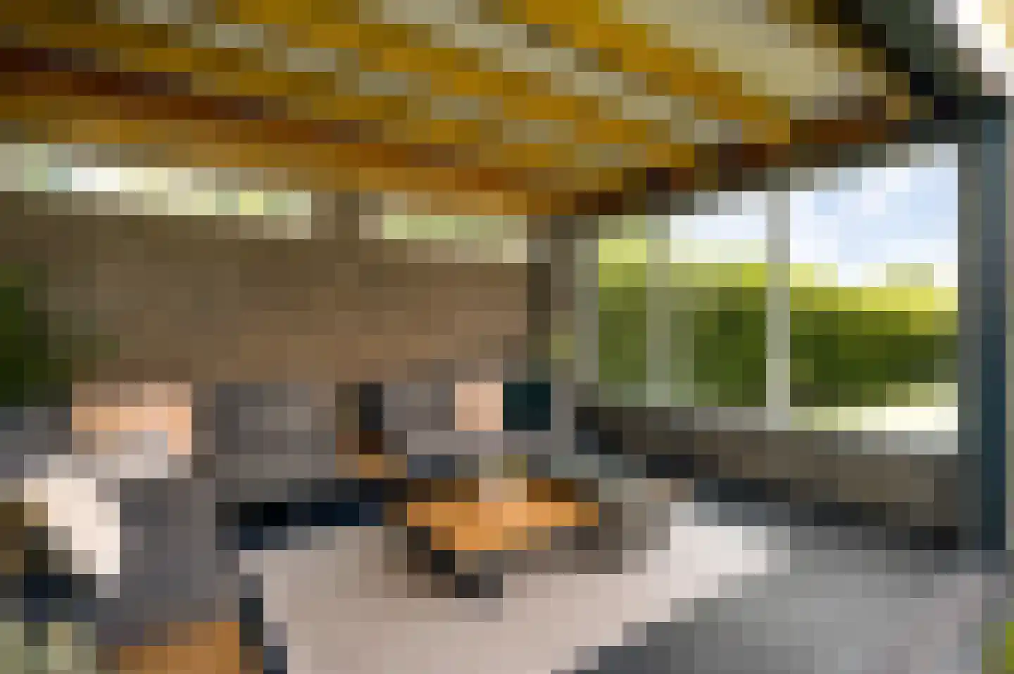 Langven 7 Beegden thumbnail 51