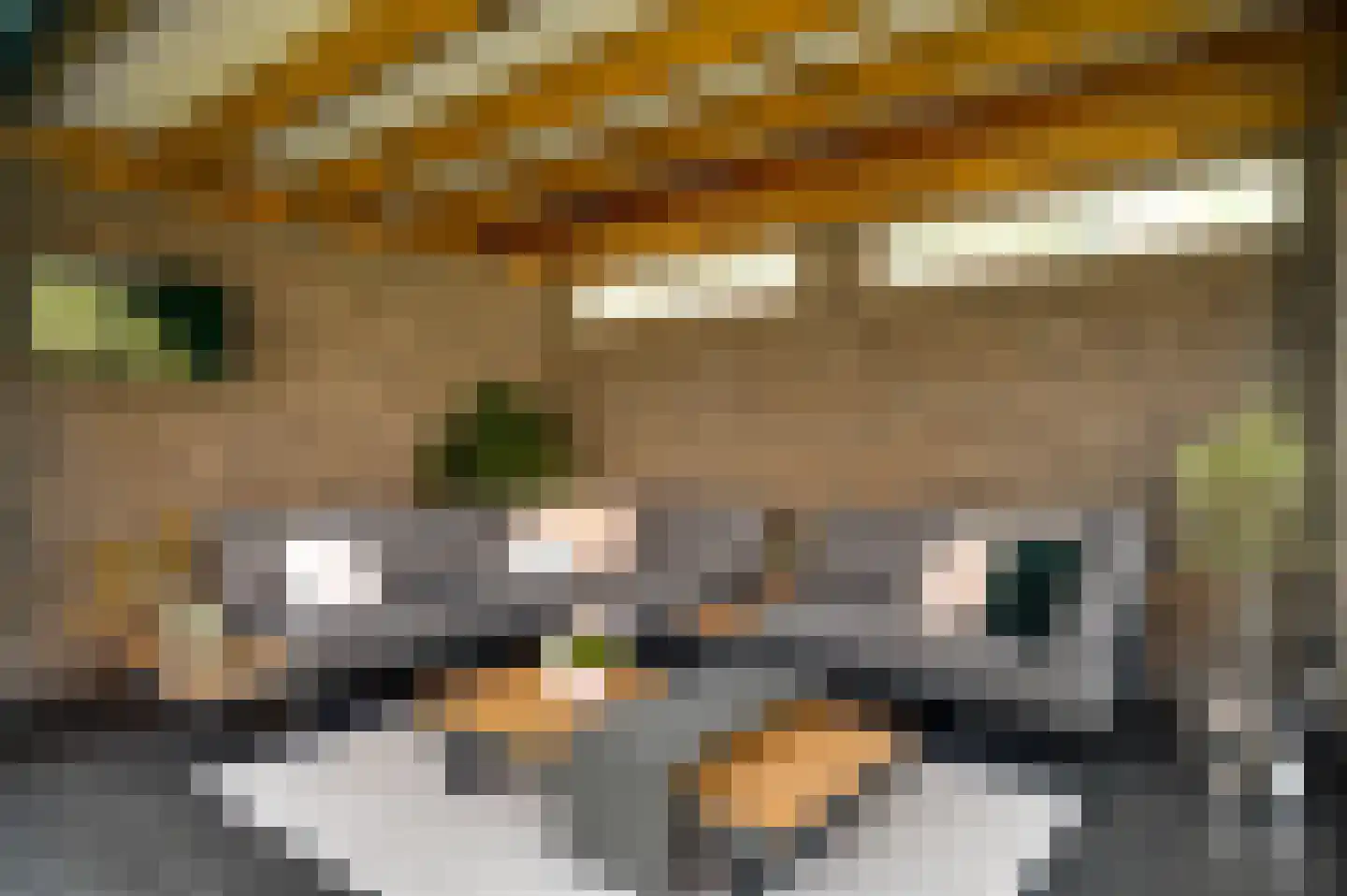 Langven 7 Beegden thumbnail 52