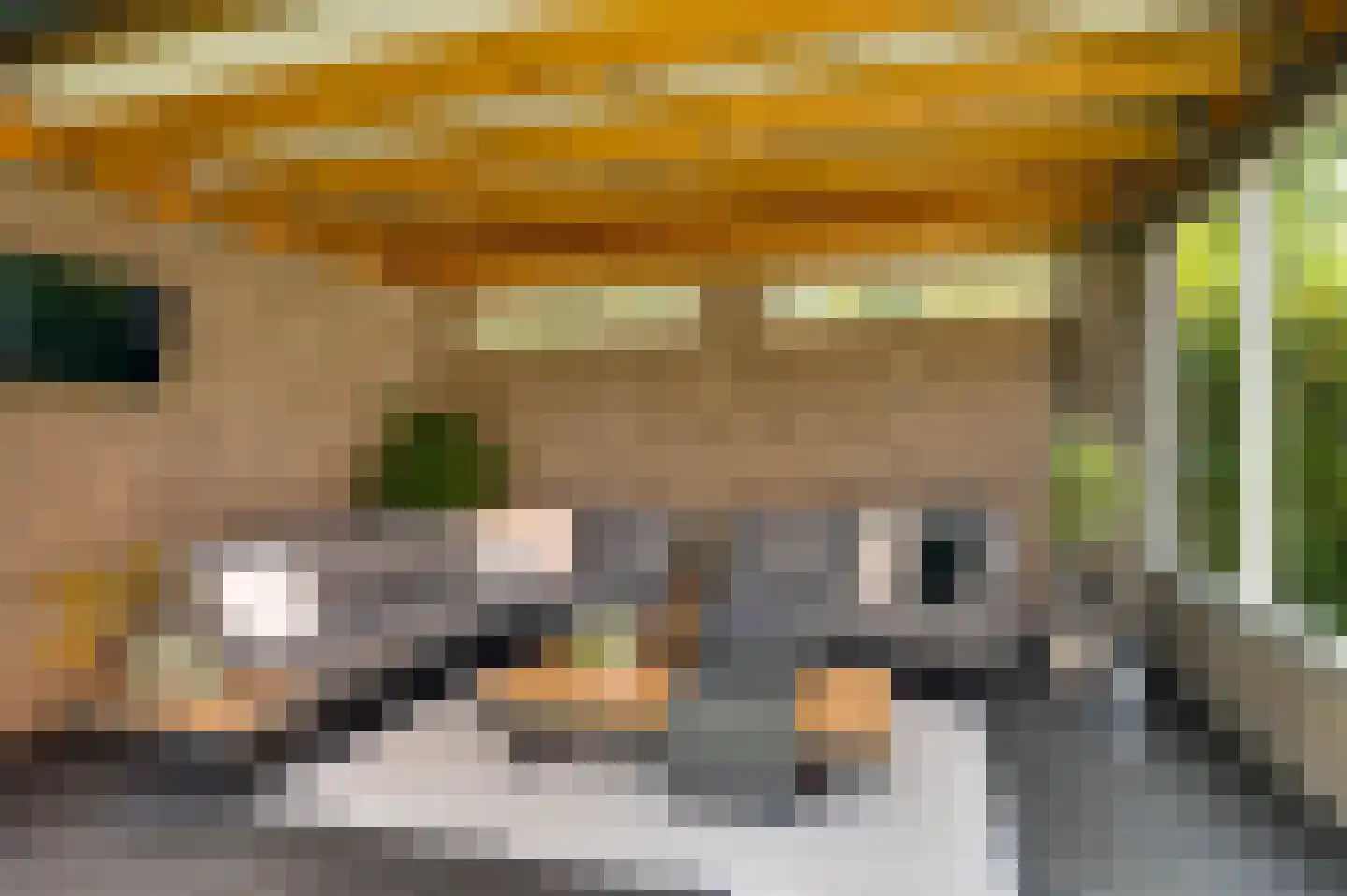 Langven 7 Beegden thumbnail 55