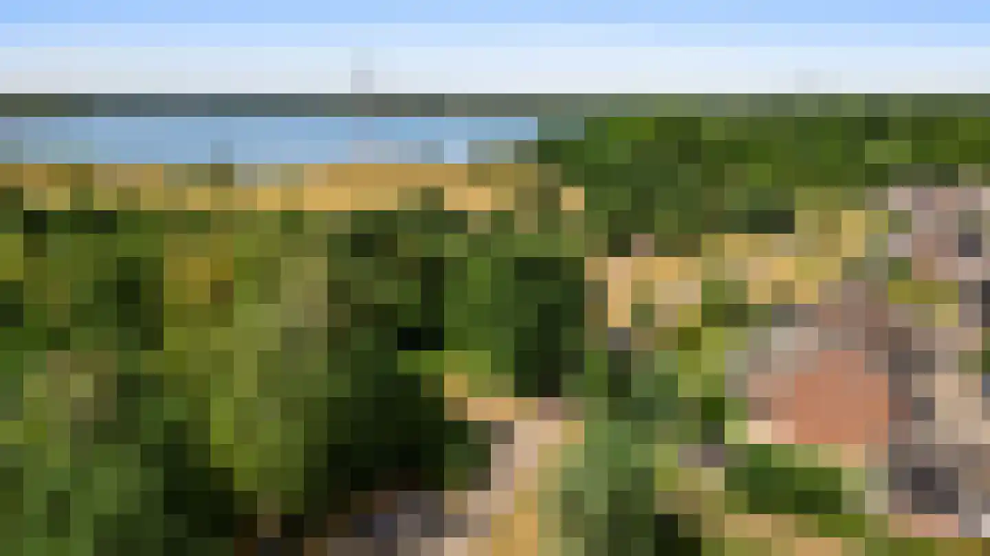 Langven 7 Beegden thumbnail 61