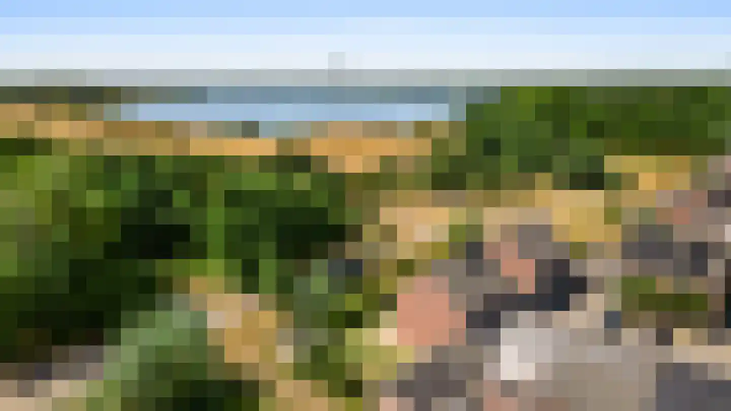 Langven 7 Beegden thumbnail 62