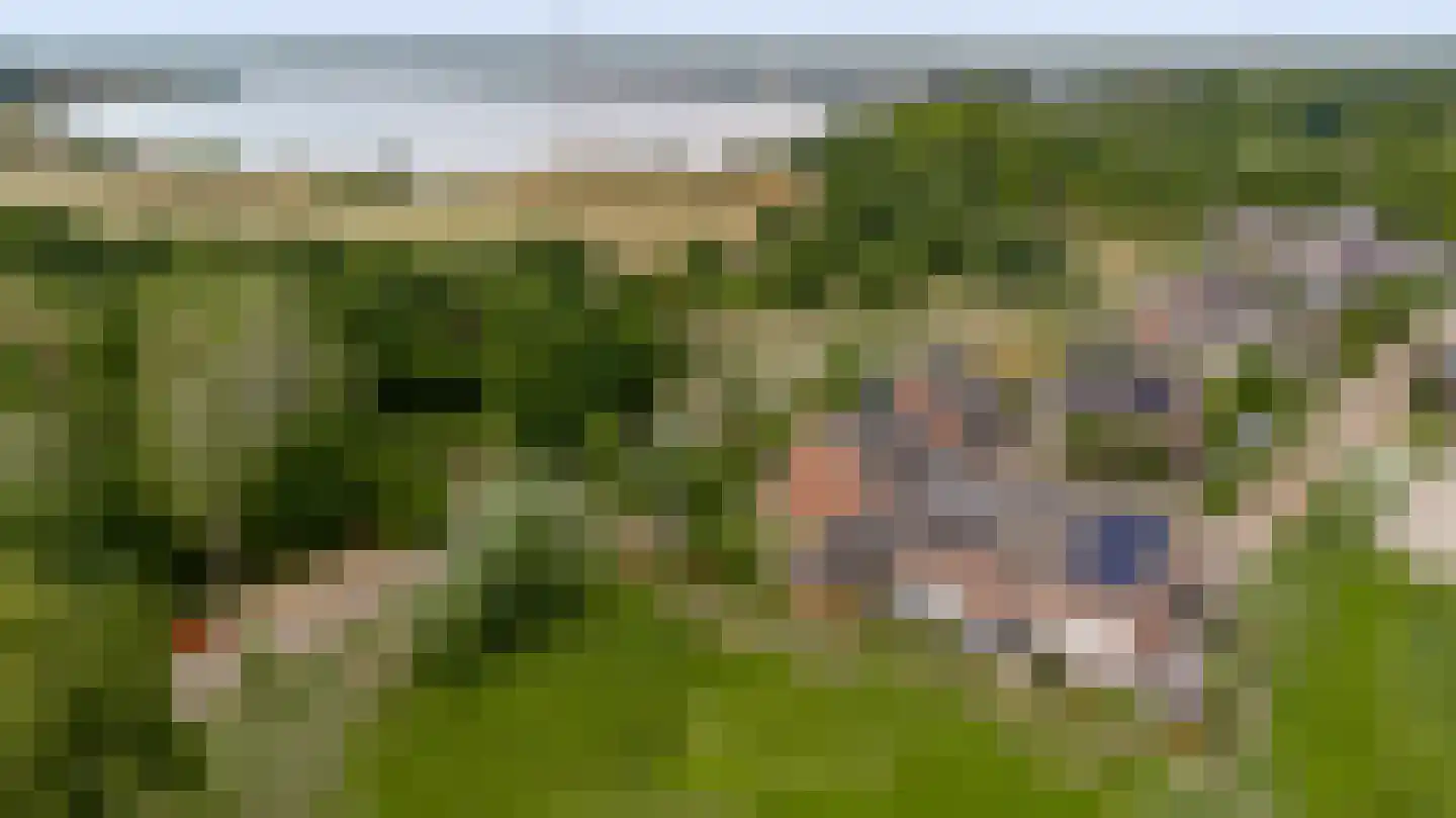 Langven 7 Beegden thumbnail 64