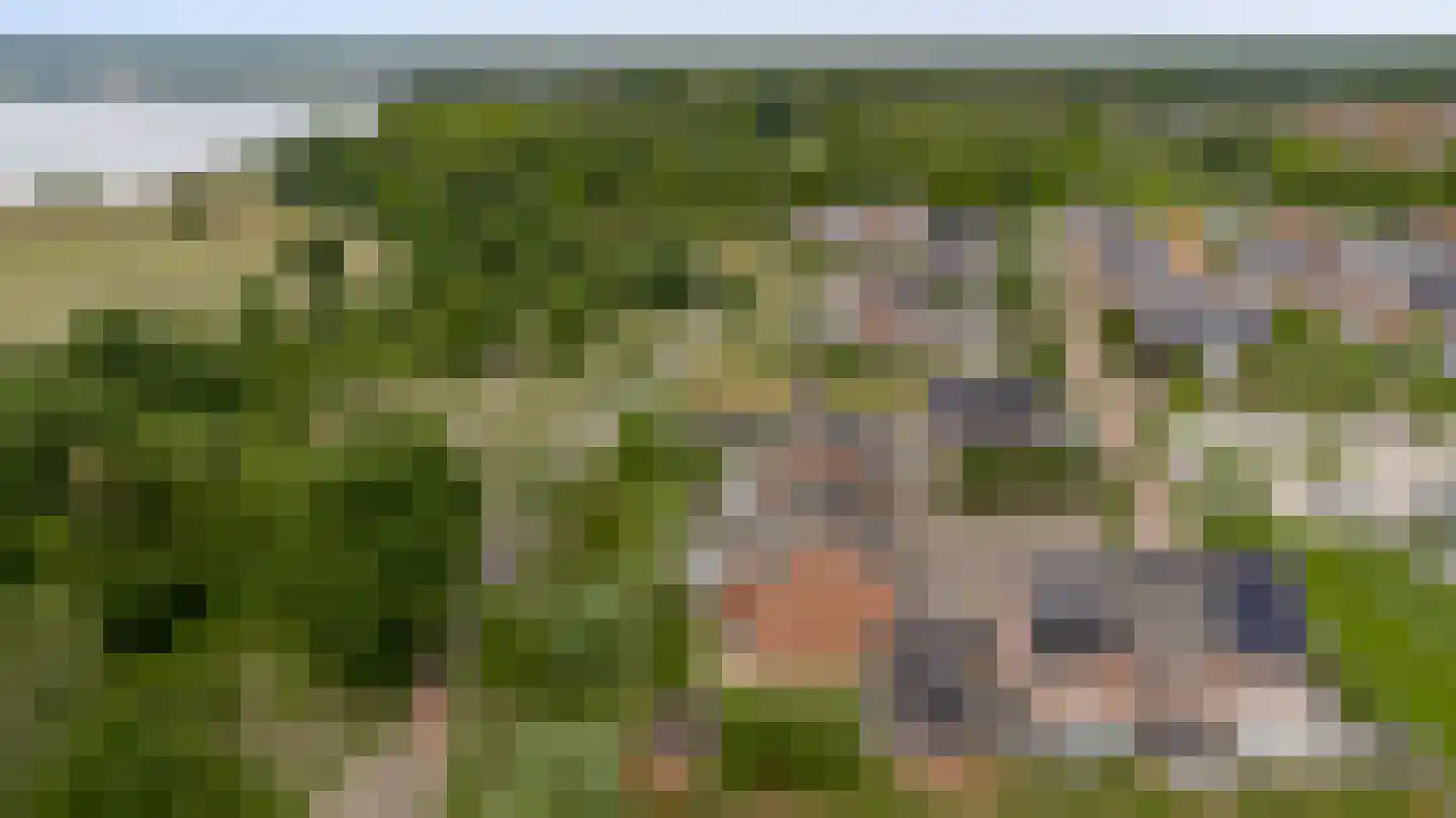 Langven 7 Beegden thumbnail 65