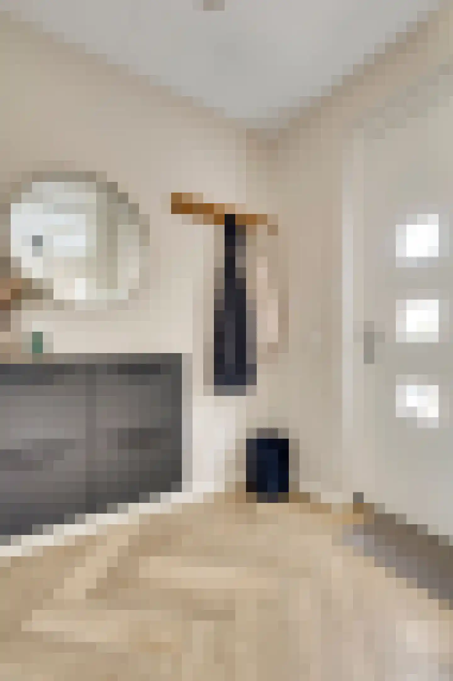 Langven 7 Beegden thumbnail 7