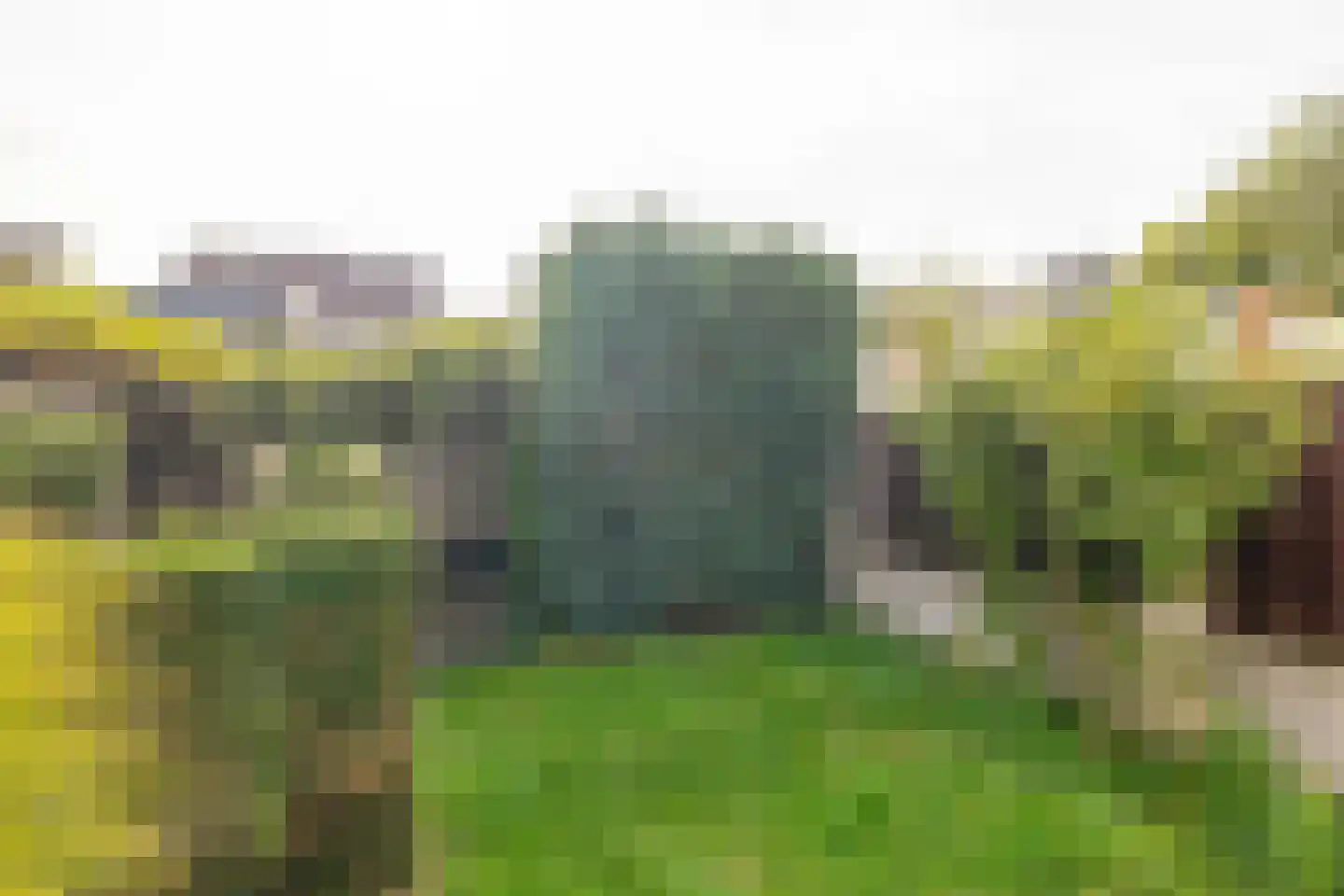 Langvennen-Noord 109 Oisterwijk thumbnail 48
