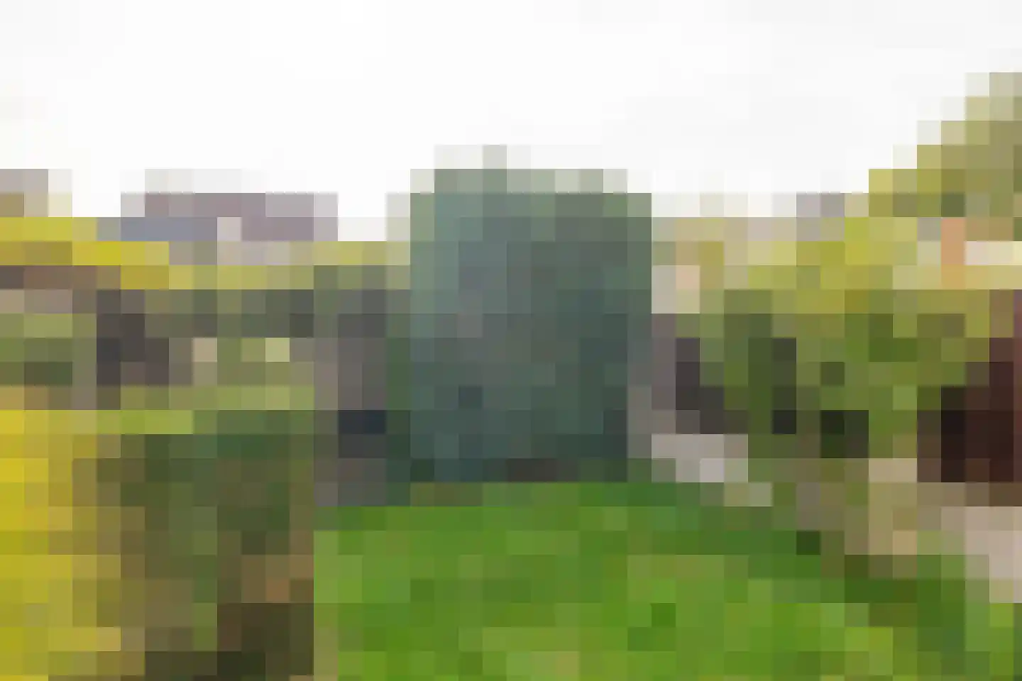 Langvennen-Noord 109 Oisterwijk thumbnail 48