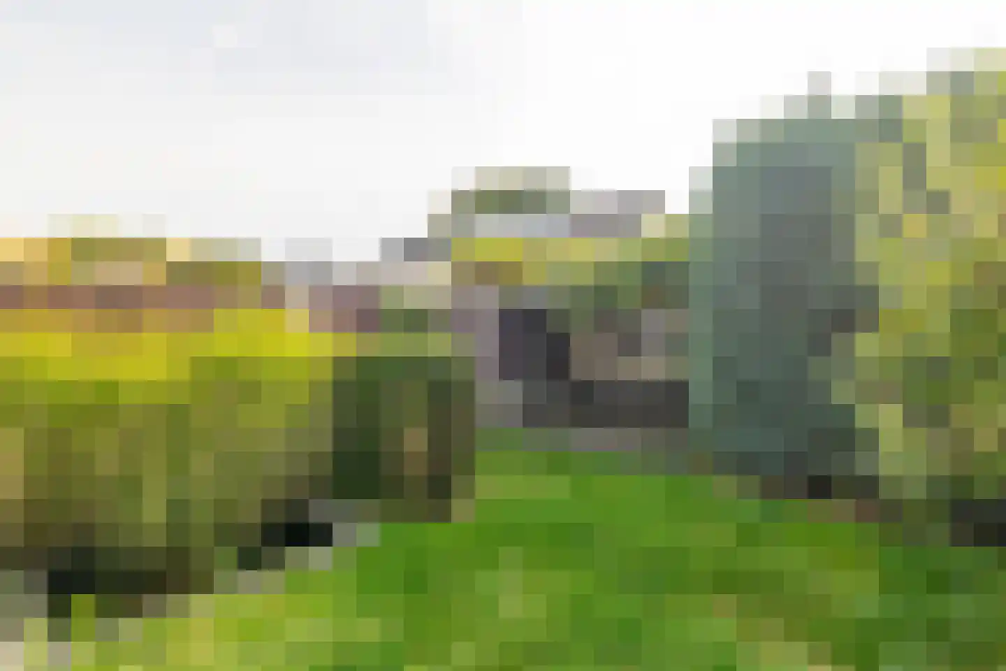 Langvennen-Noord 109 Oisterwijk thumbnail 49