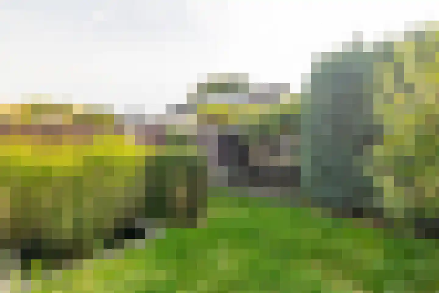 Langvennen-Noord 109 Oisterwijk thumbnail 49