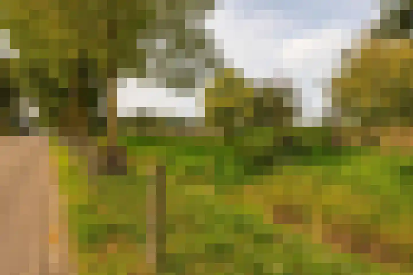 Langvennen-Noord 109 Oisterwijk thumbnail 59
