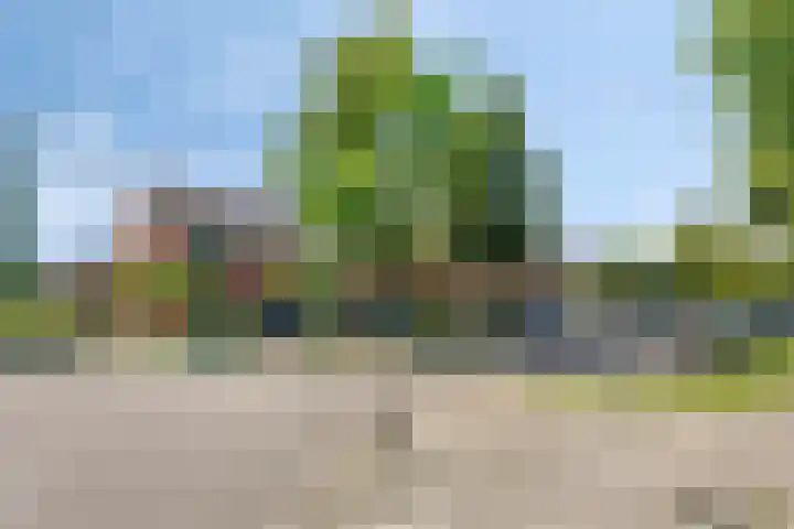 Langvennen-Oost 83 Oisterwijk thumbnail 31