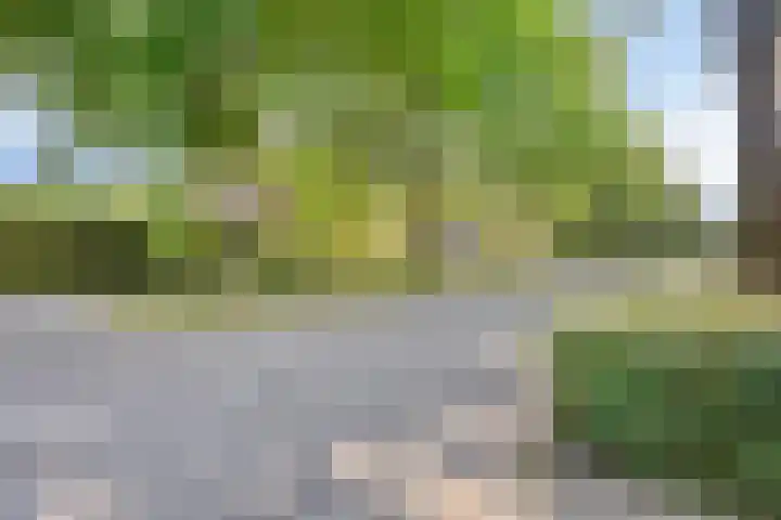 Langvennen-Oost 83 Oisterwijk thumbnail 33