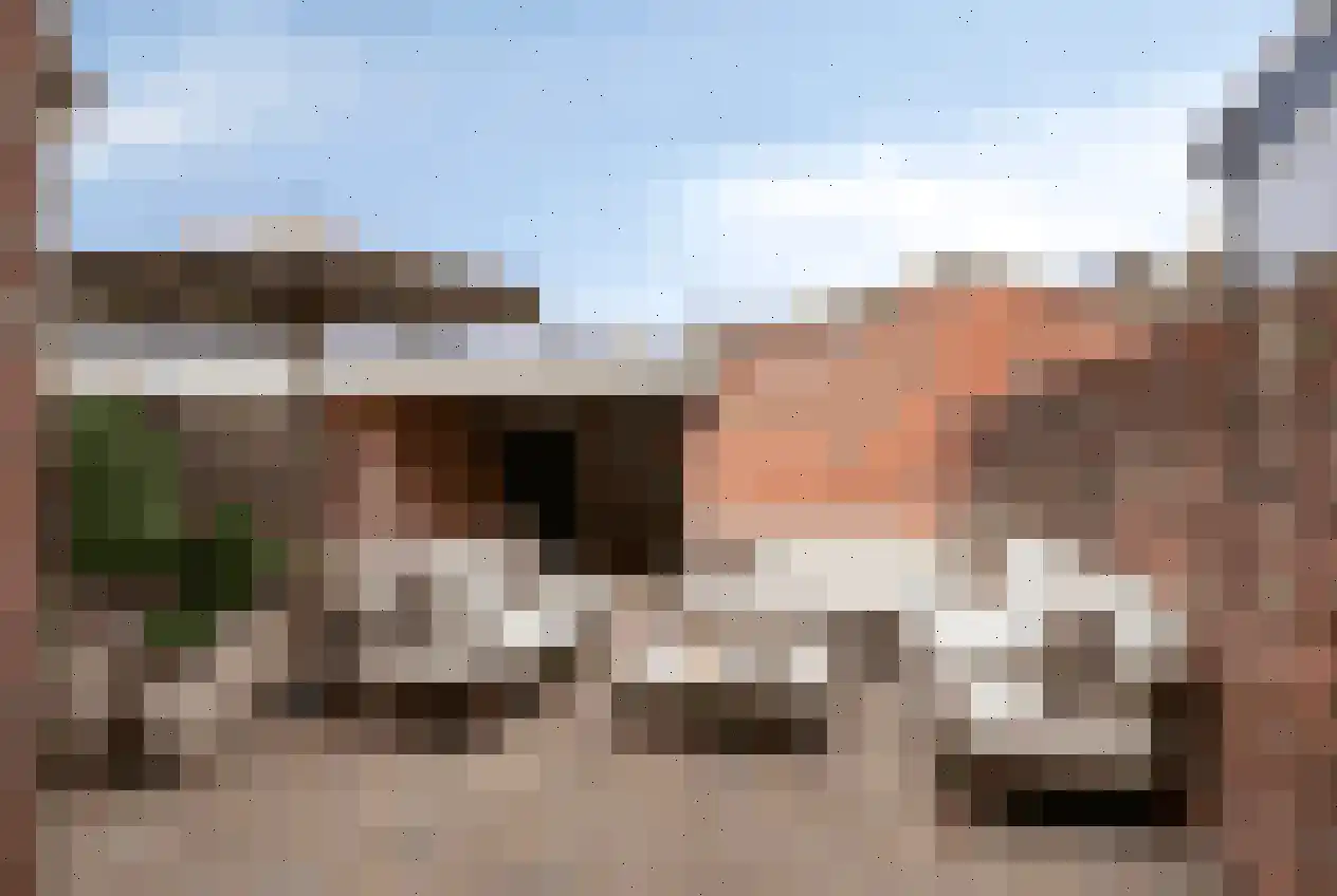 Langvennen-Zuid 102 Oisterwijk thumbnail 26