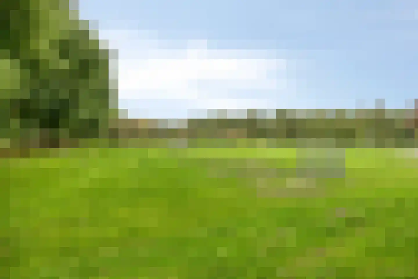 Langvennen-Zuid 102 Oisterwijk thumbnail 33