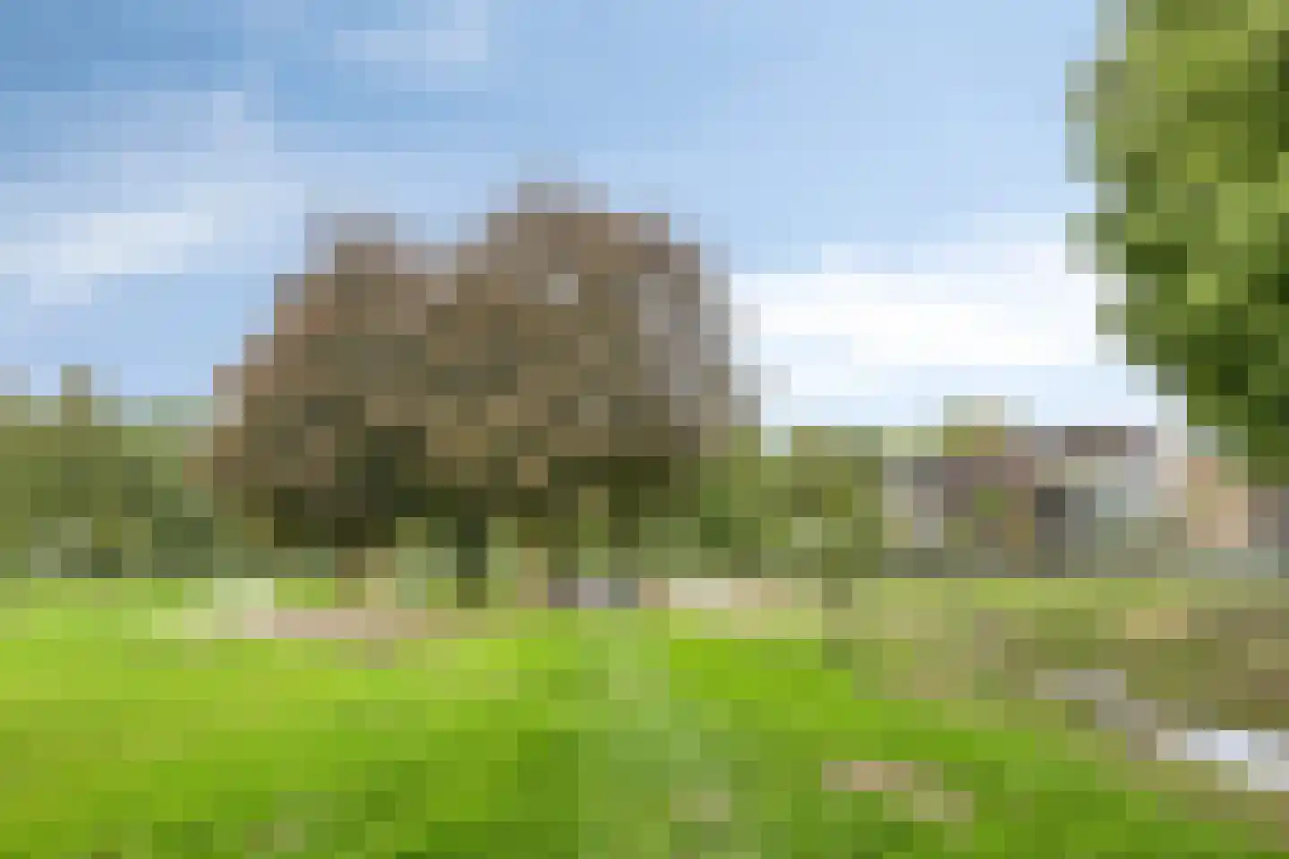 Langvennen-Zuid 102 Oisterwijk thumbnail 34