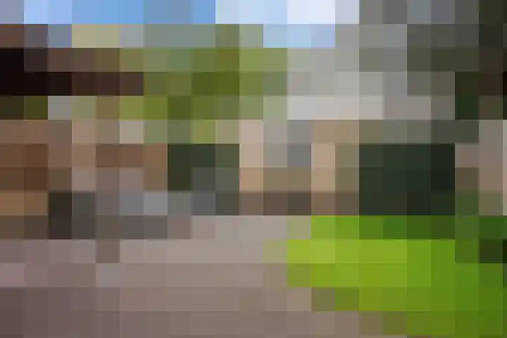 Langvennen-Zuid 105 Oisterwijk thumbnail 31