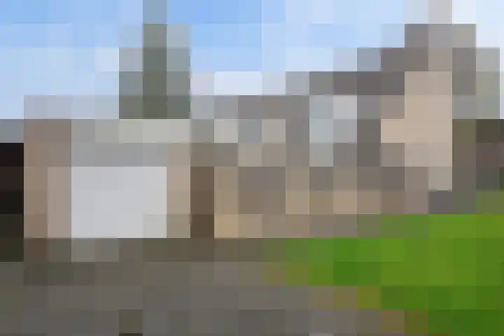 Langvennen-Zuid 105 Oisterwijk thumbnail 38