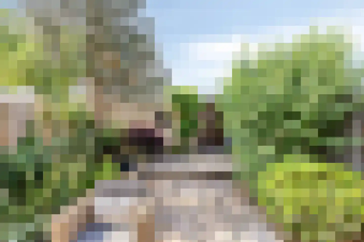 Langvennen-Zuid 107 Oisterwijk thumbnail 19