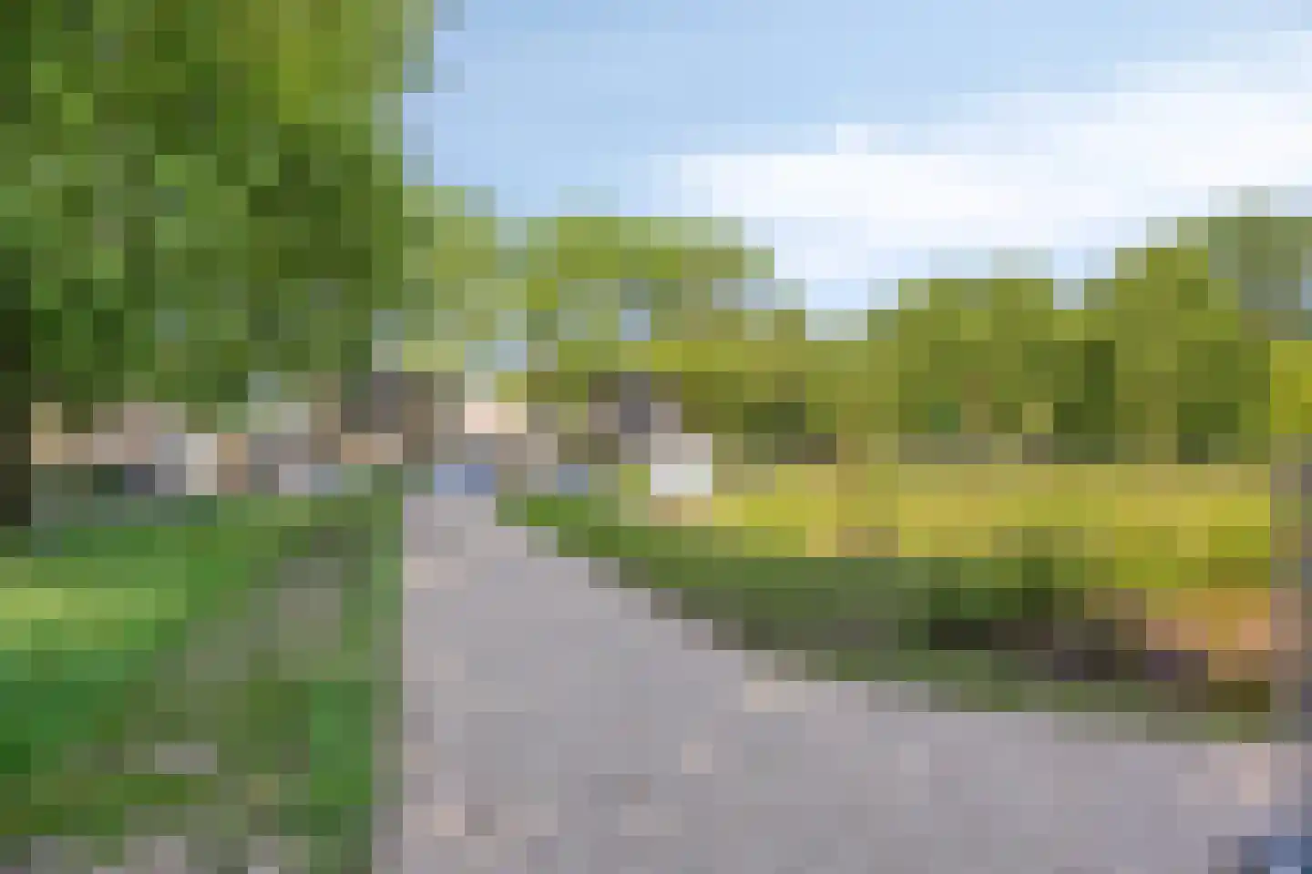 Langvennen-Zuid 107 Oisterwijk thumbnail 28