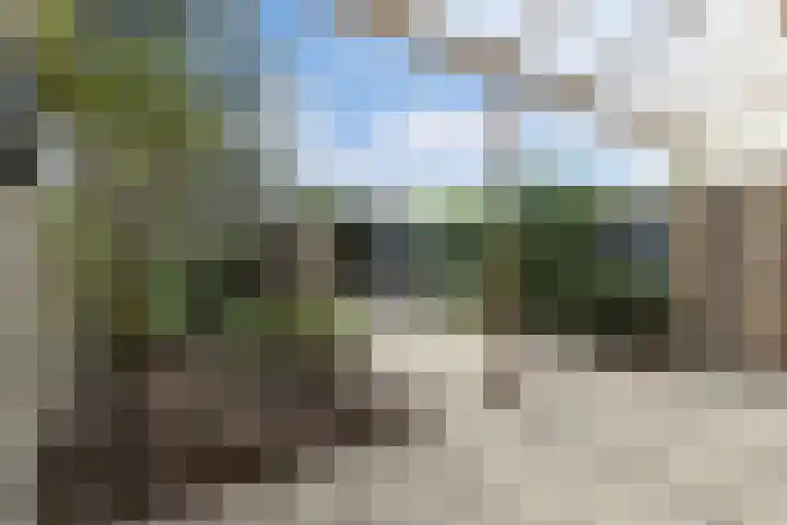 Langvennen-Zuid 107 Oisterwijk thumbnail 34