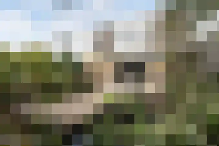 Langvennen-Zuid 107 Oisterwijk thumbnail 35