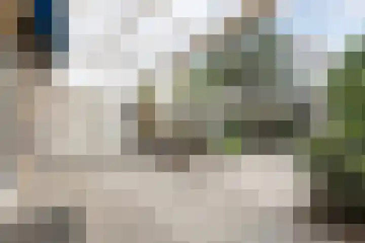 Langvennen-Zuid 107 Oisterwijk thumbnail 37