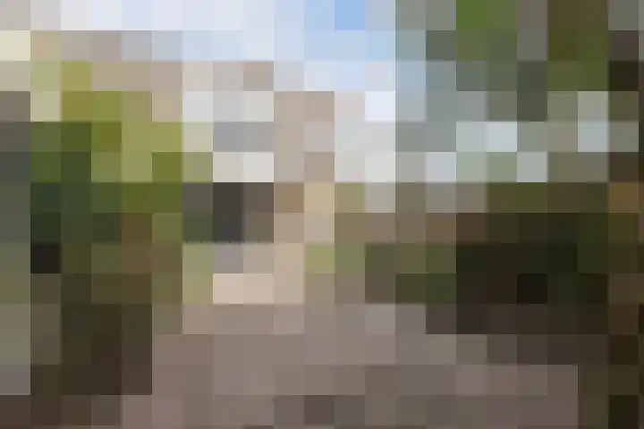 Langvennen-Zuid 107 Oisterwijk thumbnail 38